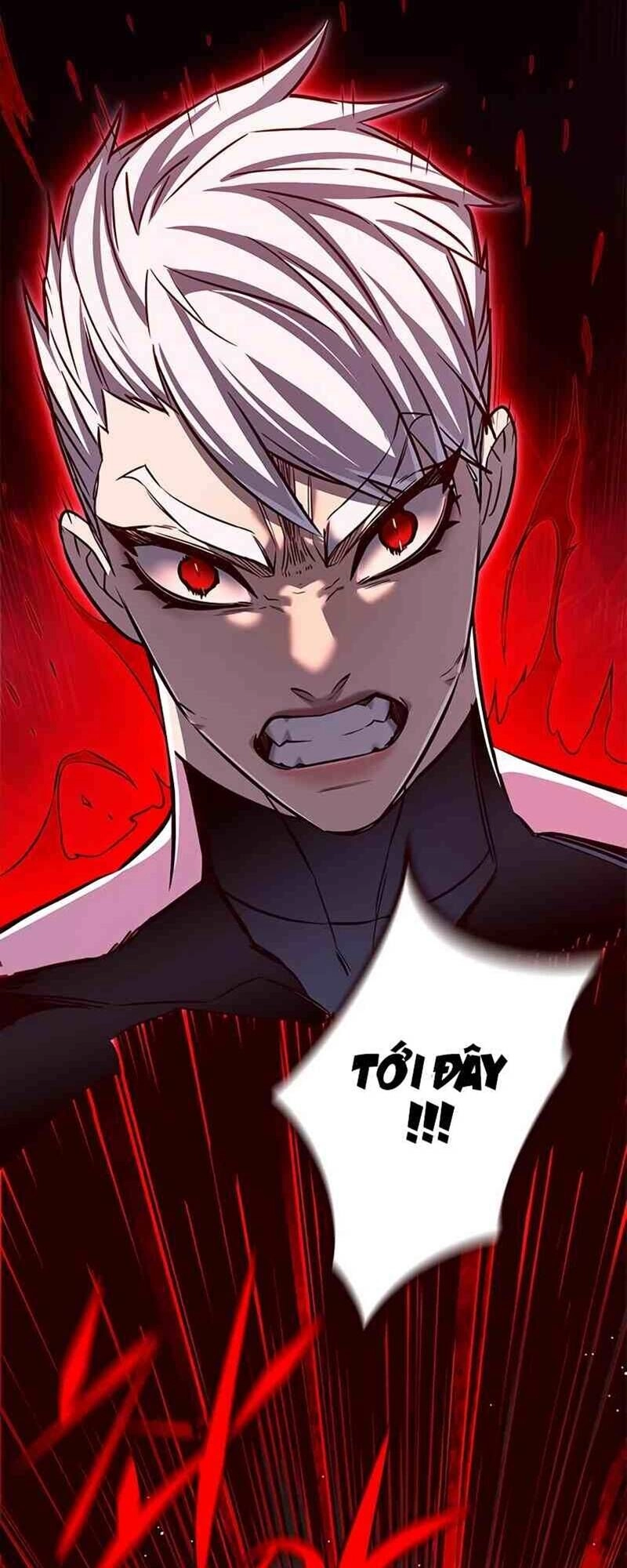 Hoá Thân Thành Mèo Chapter 251 - 64