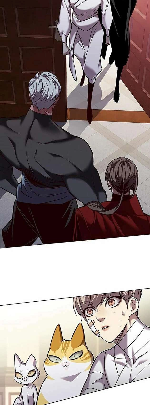 Hoá Thân Thành Mèo Chapter 254 - 35