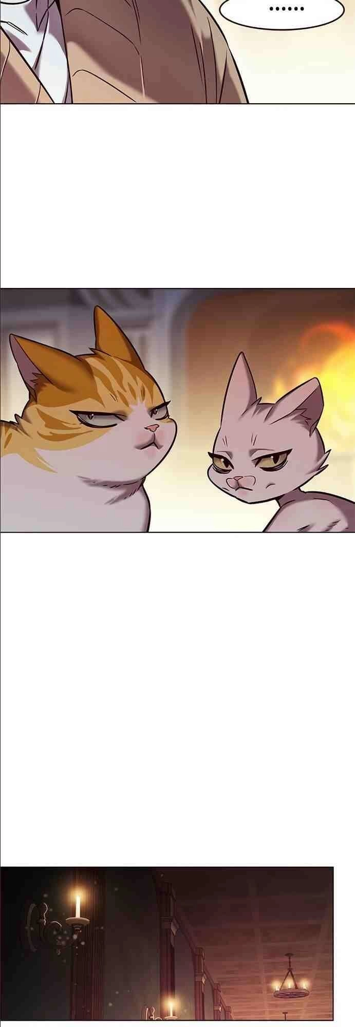 Hoá Thân Thành Mèo Chapter 255 - 52