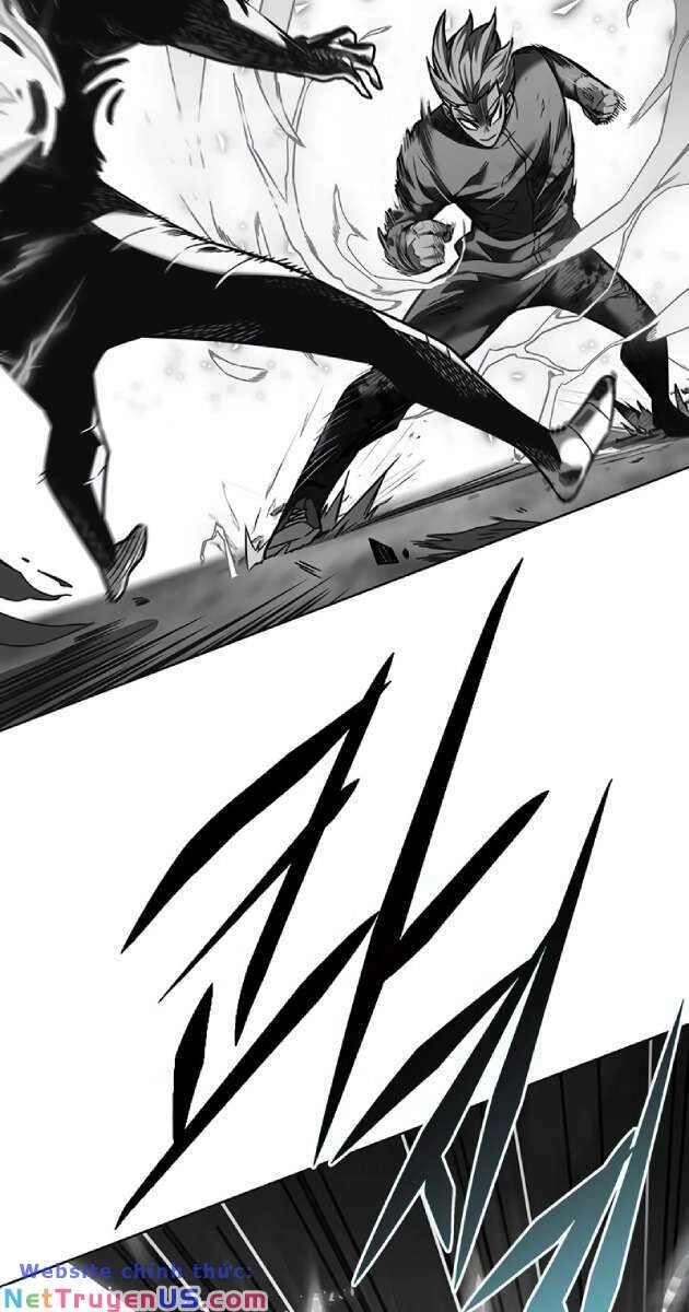 Hoá Thân Thành Mèo Chapter 261 - 2