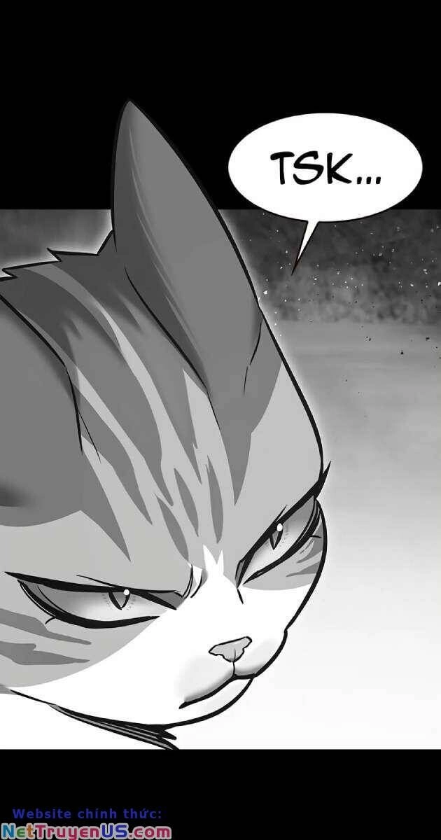 Hoá Thân Thành Mèo Chapter 261 - 6