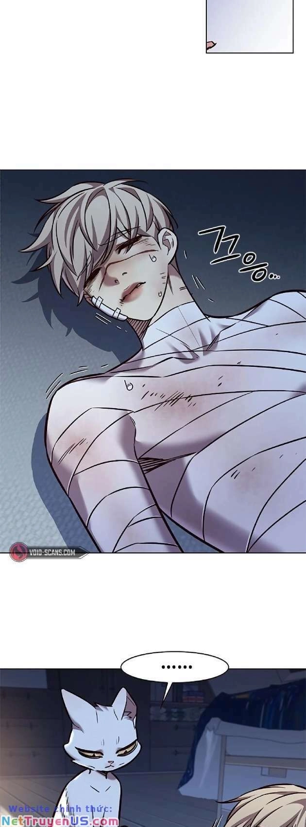 Hoá Thân Thành Mèo Chapter 262 - 54