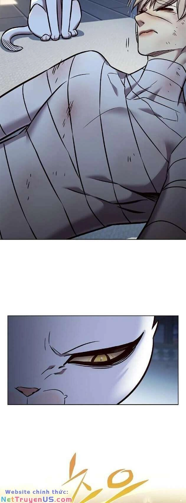 Hoá Thân Thành Mèo Chapter 262 - 55