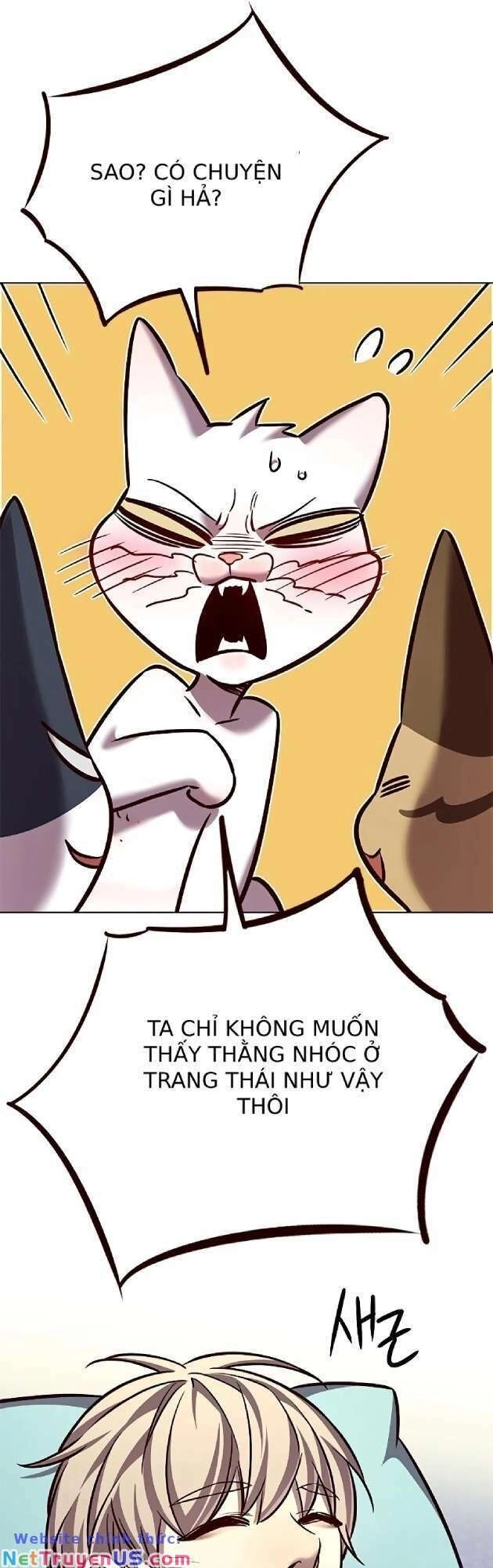 Hoá Thân Thành Mèo Chapter 262 - 60