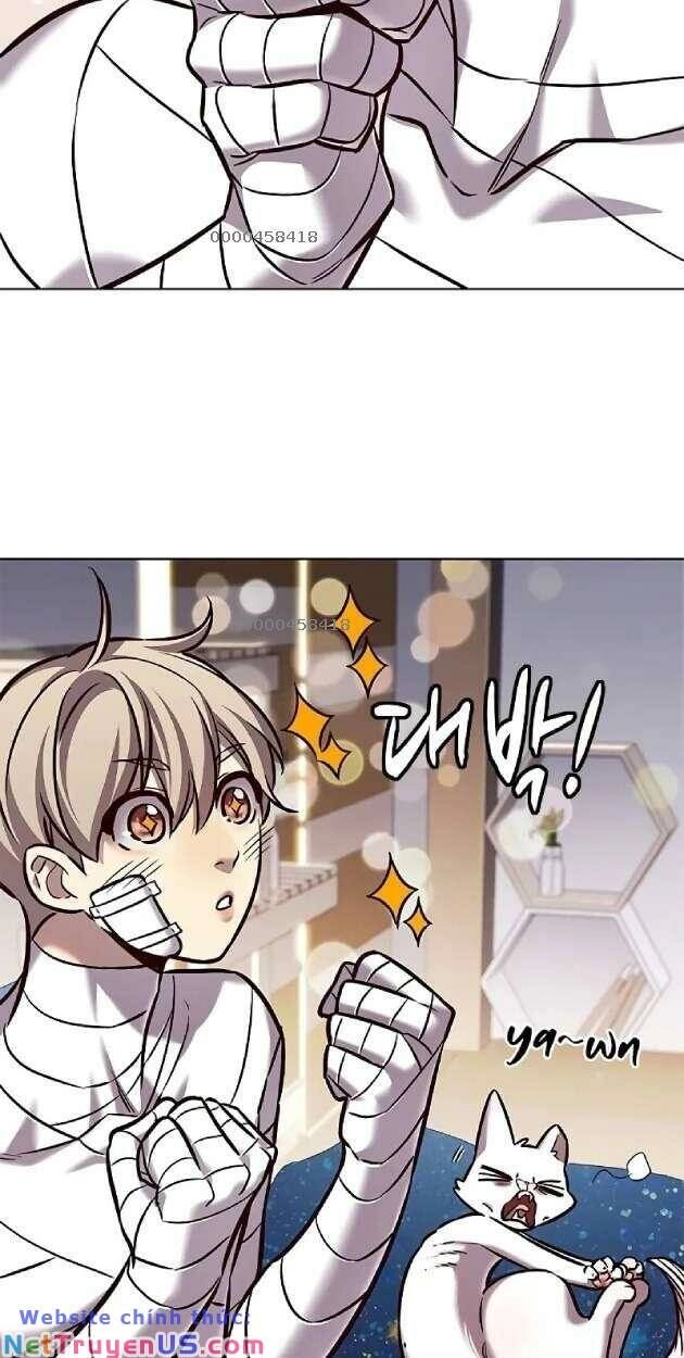 Hoá Thân Thành Mèo Chapter 263 - 5