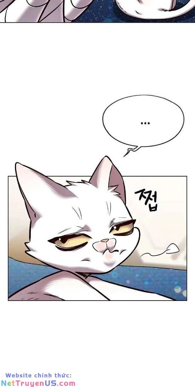 Hoá Thân Thành Mèo Chapter 263 - 6