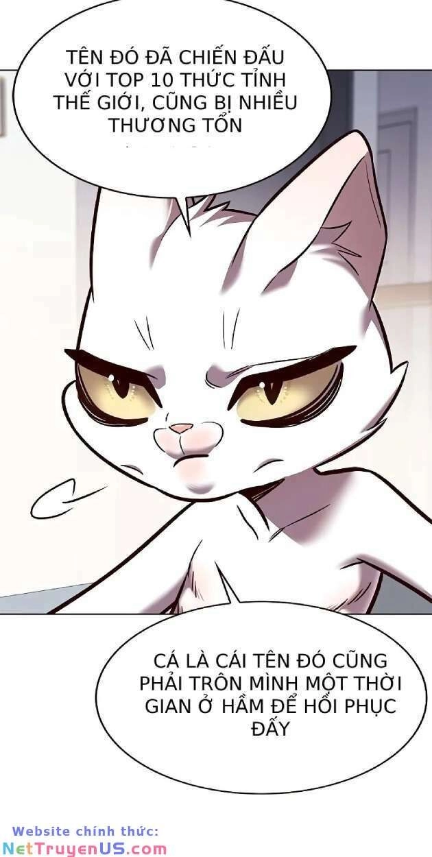 Hoá Thân Thành Mèo Chapter 263 - 9