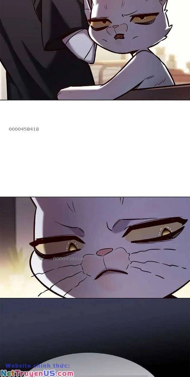 Hoá Thân Thành Mèo Chapter 263 - 15