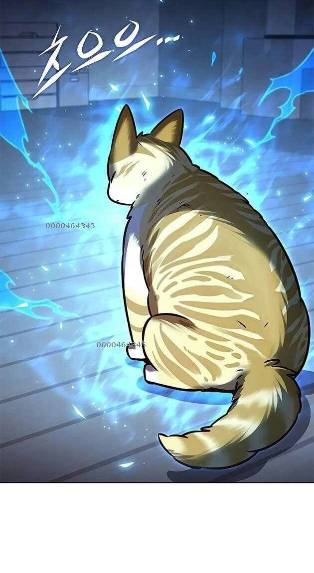 Hoá Thân Thành Mèo Chapter 267 - 3