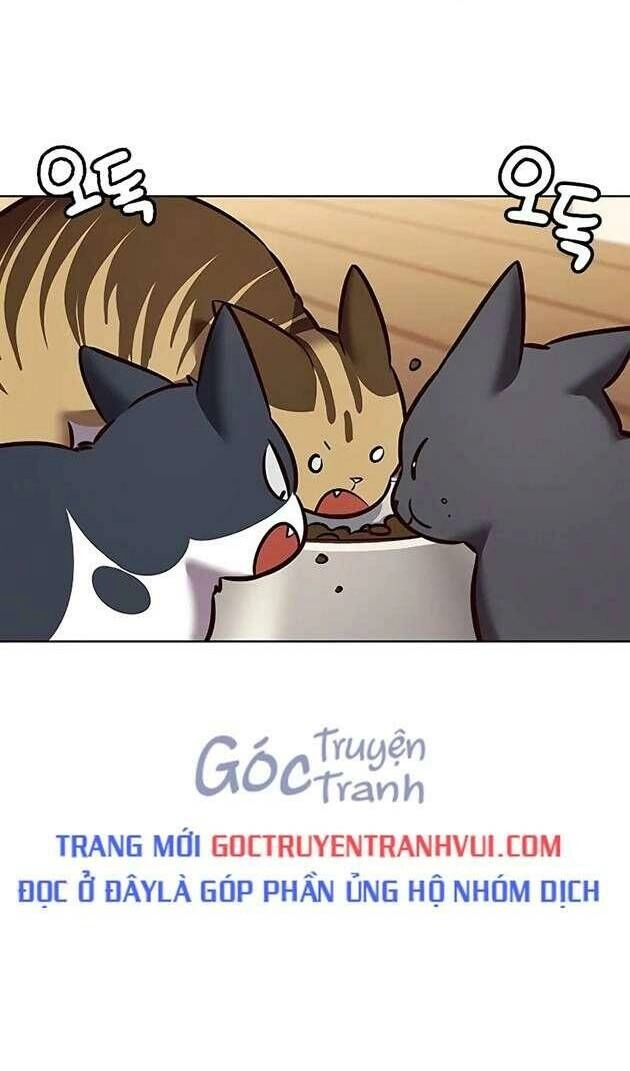 Hoá Thân Thành Mèo Chapter 269 - 41