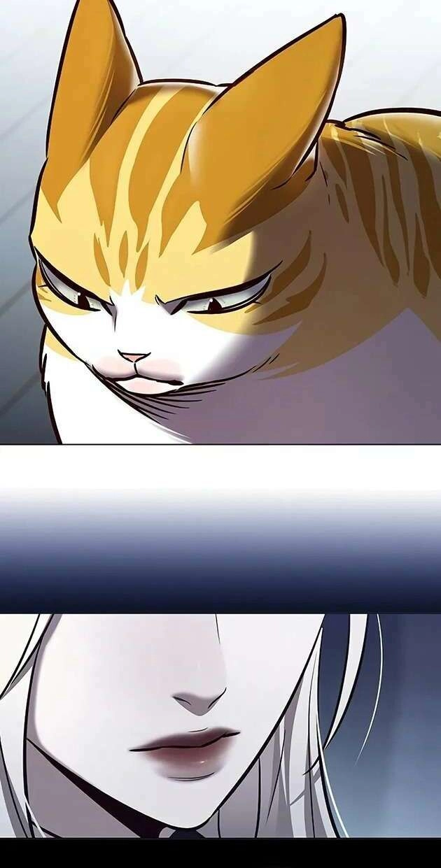 Hoá Thân Thành Mèo Chapter 270 - 20