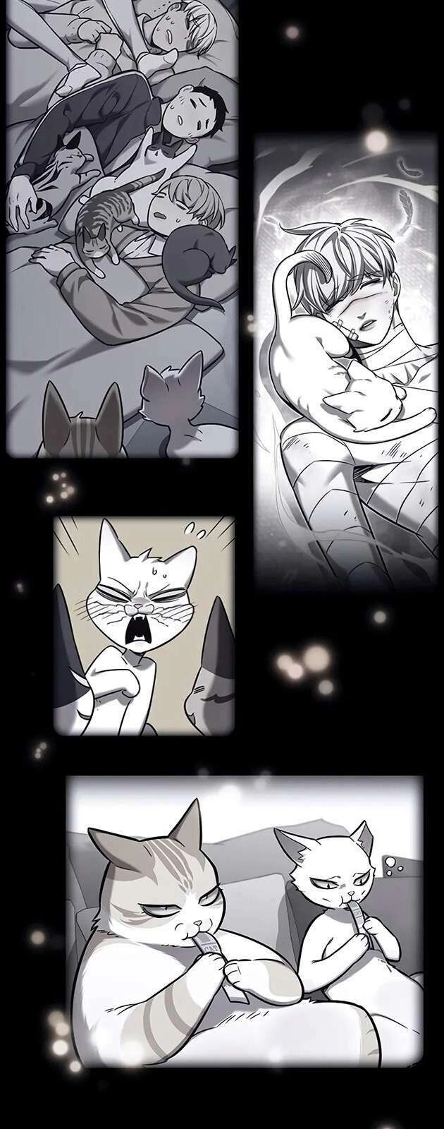 Hoá Thân Thành Mèo Chapter 270 - 66