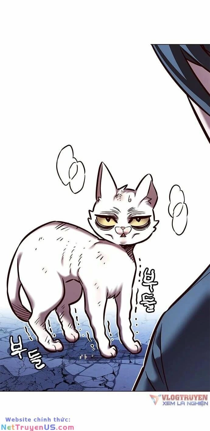 Hoá Thân Thành Mèo Chapter 275 - 22