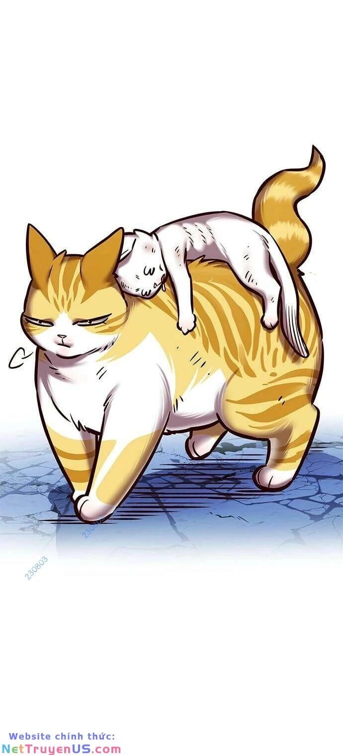 Hoá Thân Thành Mèo Chapter 275 - 40