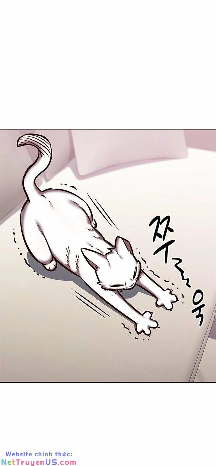 Hoá Thân Thành Mèo Chapter 275 - 62