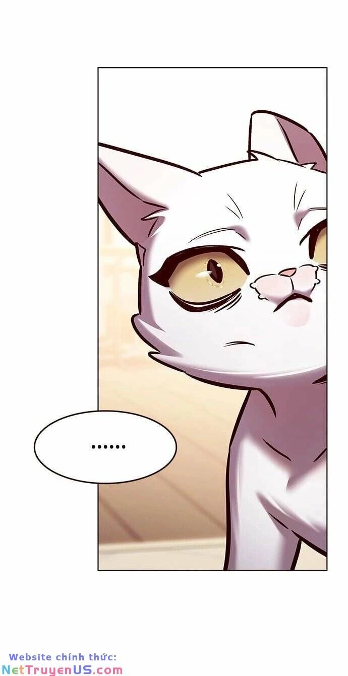 Hoá Thân Thành Mèo Chapter 275 - 65