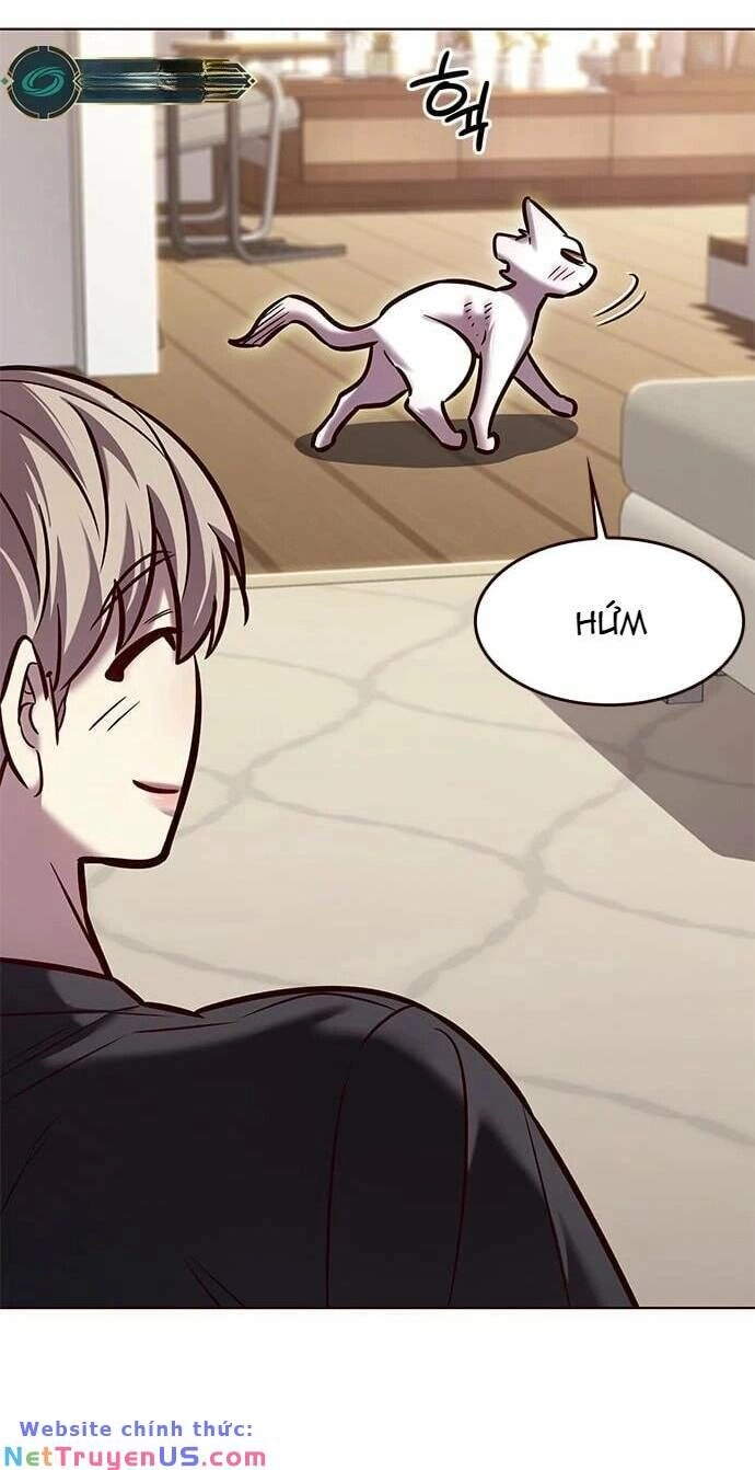 Hoá Thân Thành Mèo Chapter 275 - 66