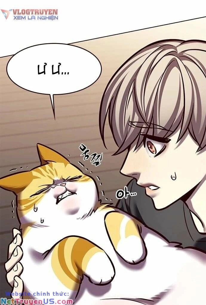 Hoá Thân Thành Mèo Chapter 275 - 72