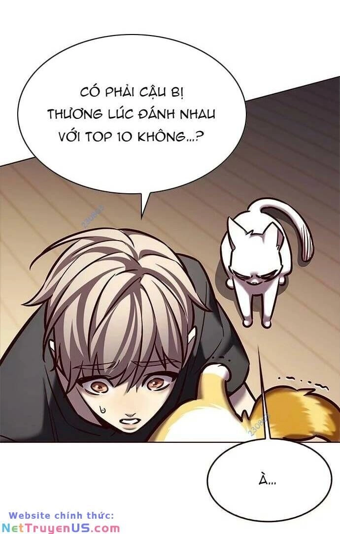 Hoá Thân Thành Mèo Chapter 275 - 75