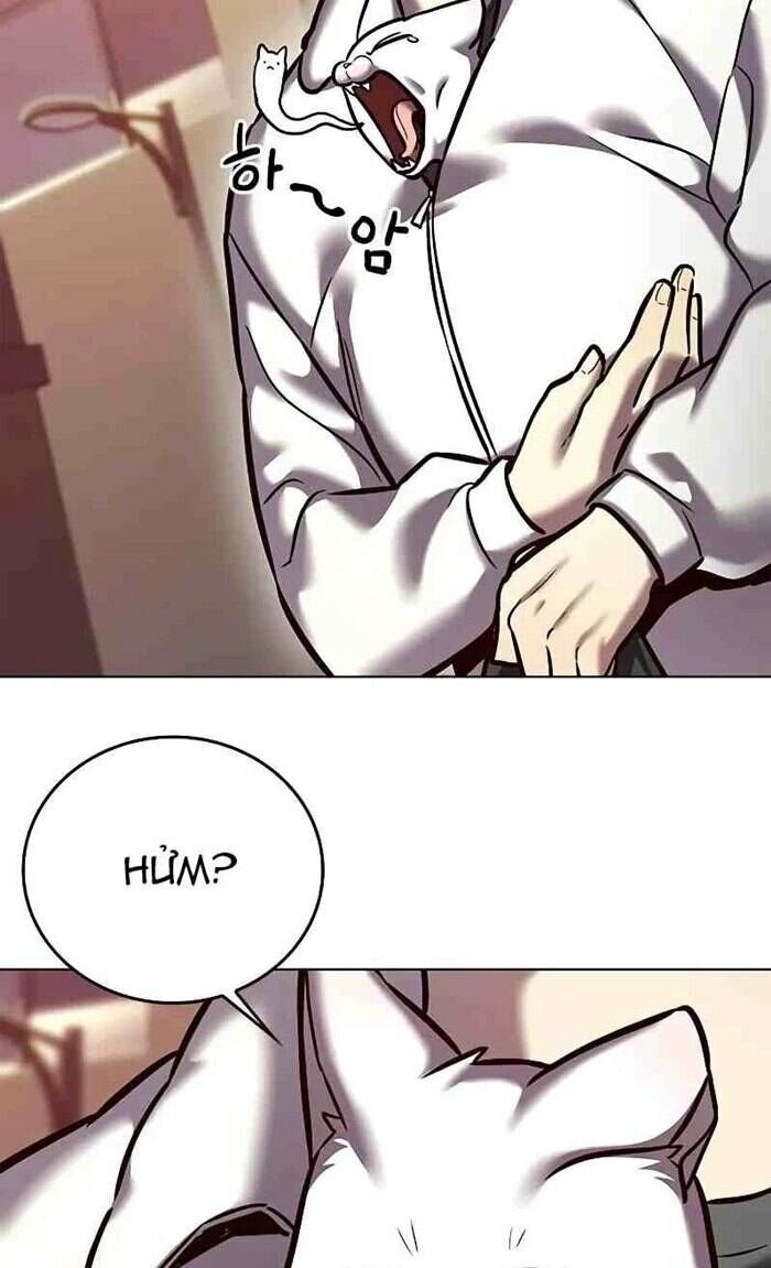 Hoá Thân Thành Mèo Chapter 277 - 11