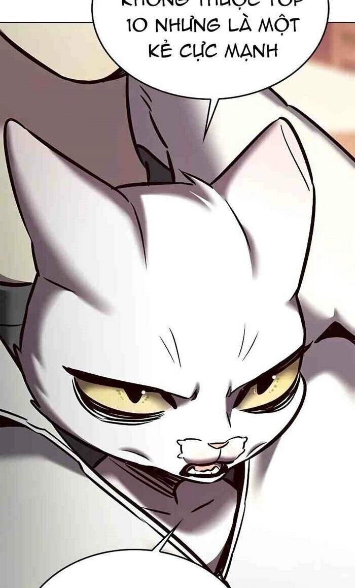 Hoá Thân Thành Mèo Chapter 277 - 19