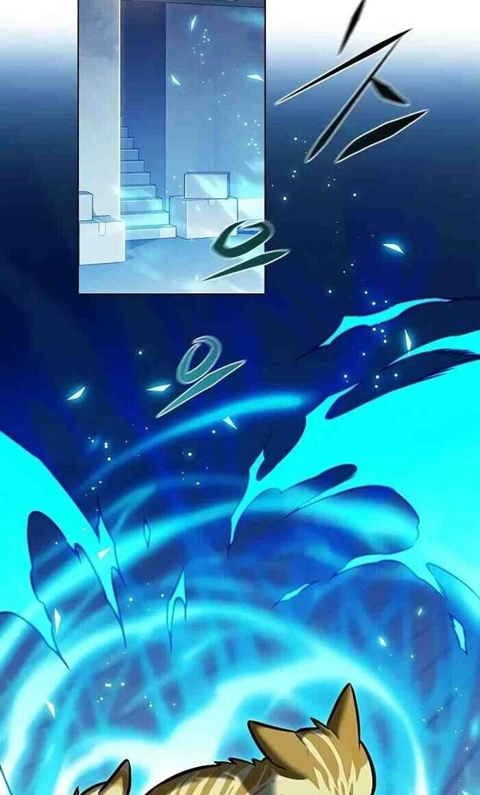 Hoá Thân Thành Mèo Chapter 277 - 59