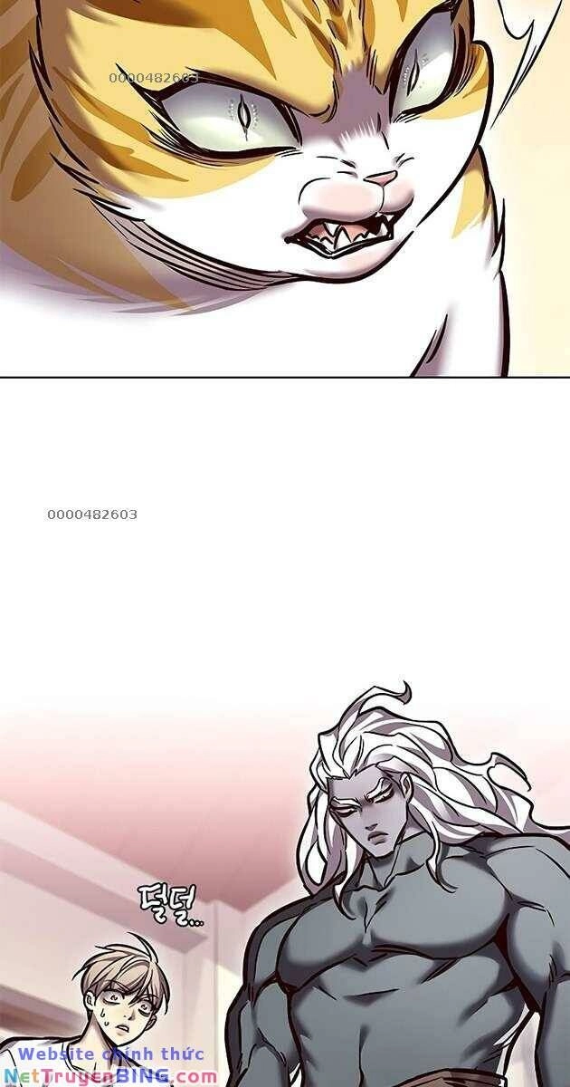 Hoá Thân Thành Mèo Chapter 278 - 3