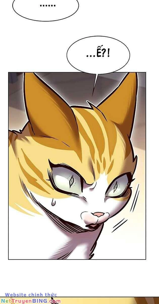 Hoá Thân Thành Mèo Chapter 278 - 6