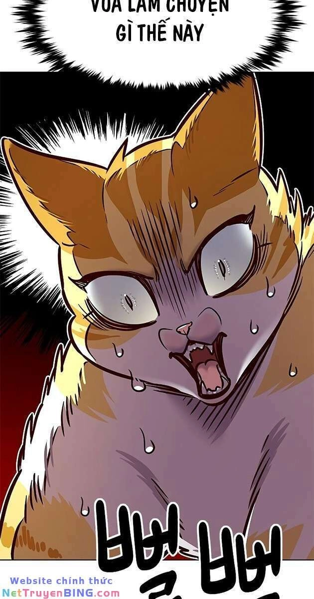 Hoá Thân Thành Mèo Chapter 278 - 9