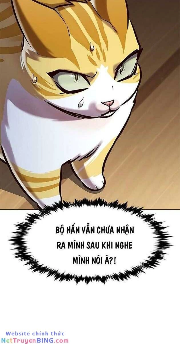 Hoá Thân Thành Mèo Chapter 278 - 18