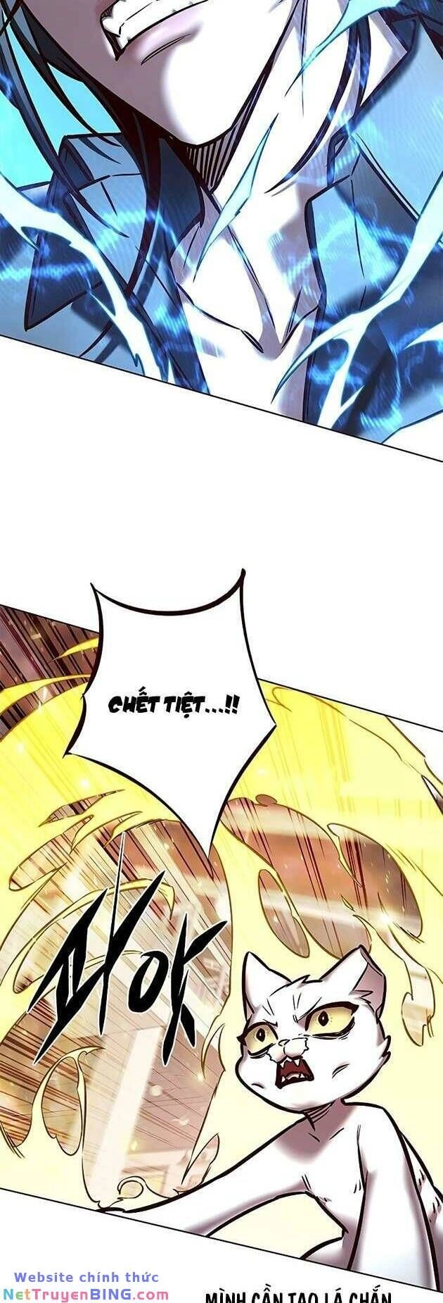 Hoá Thân Thành Mèo Chapter 278 - 41