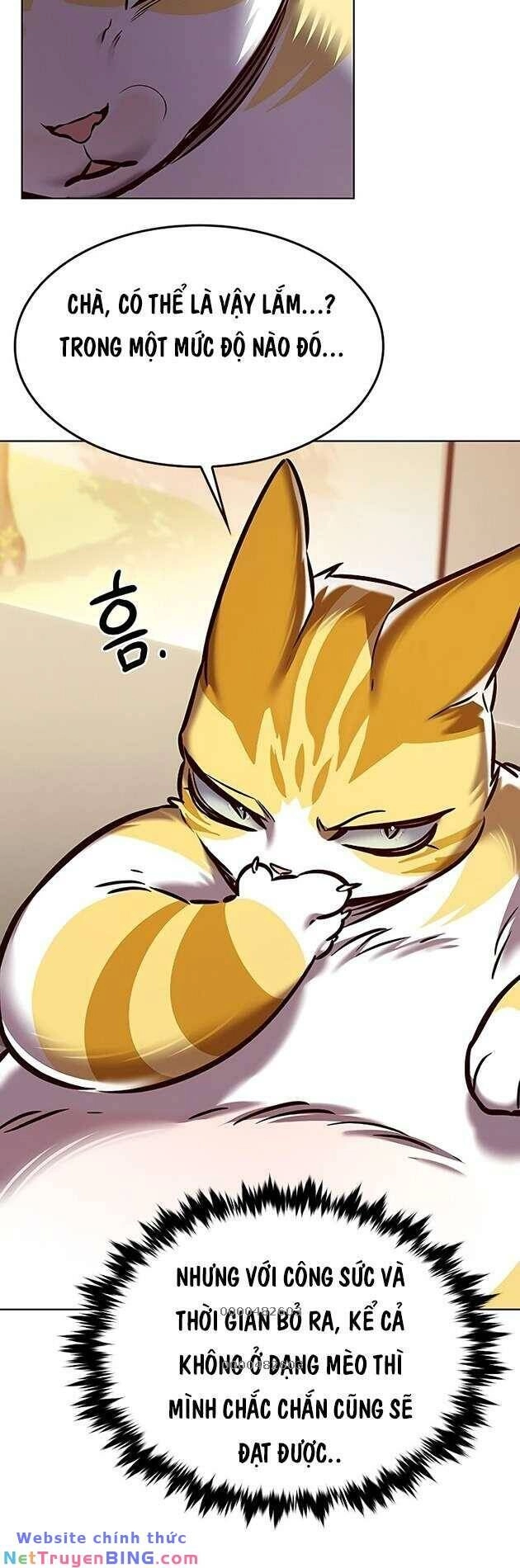 Hoá Thân Thành Mèo Chapter 278 - 61