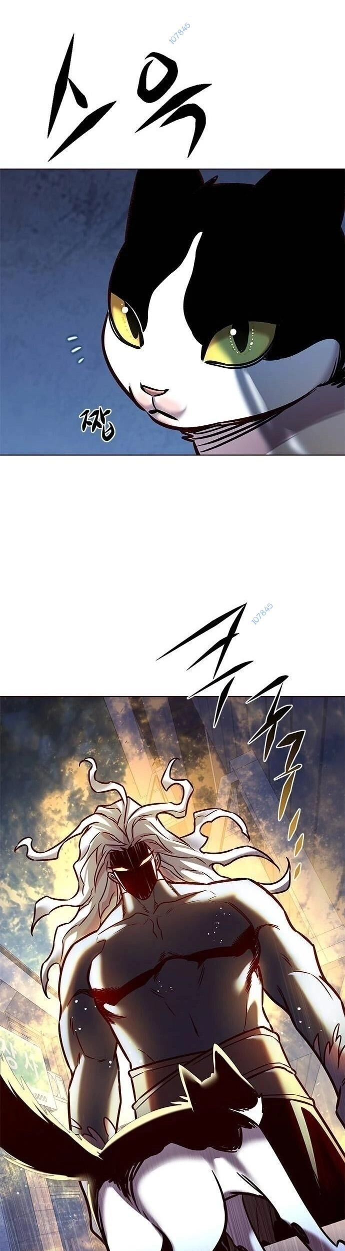 Hoá Thân Thành Mèo Chapter 279 - 21