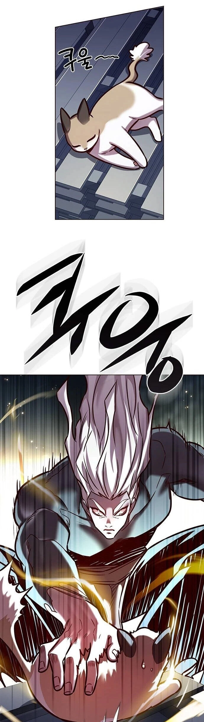 Hoá Thân Thành Mèo Chapter 279 - 27