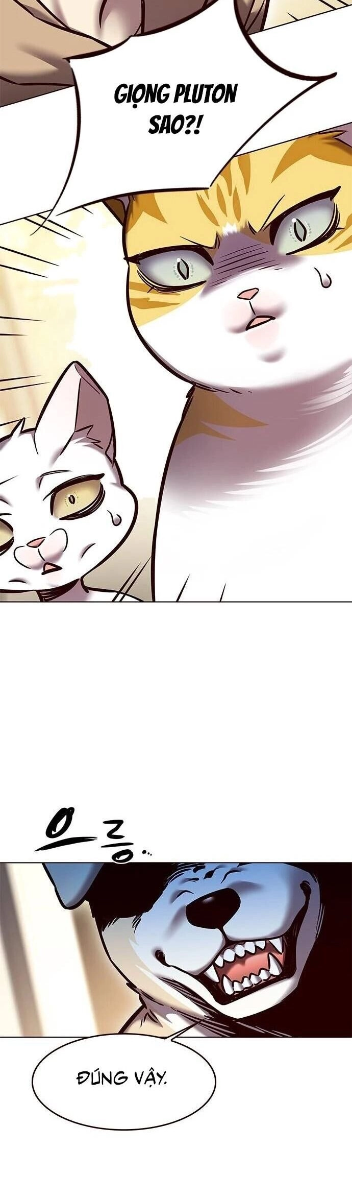 Hoá Thân Thành Mèo Chapter 279 - 40