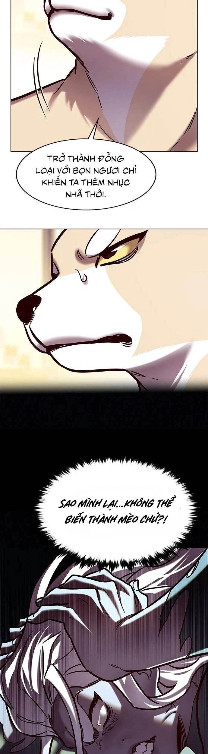 Hoá Thân Thành Mèo Chapter 279 - 43