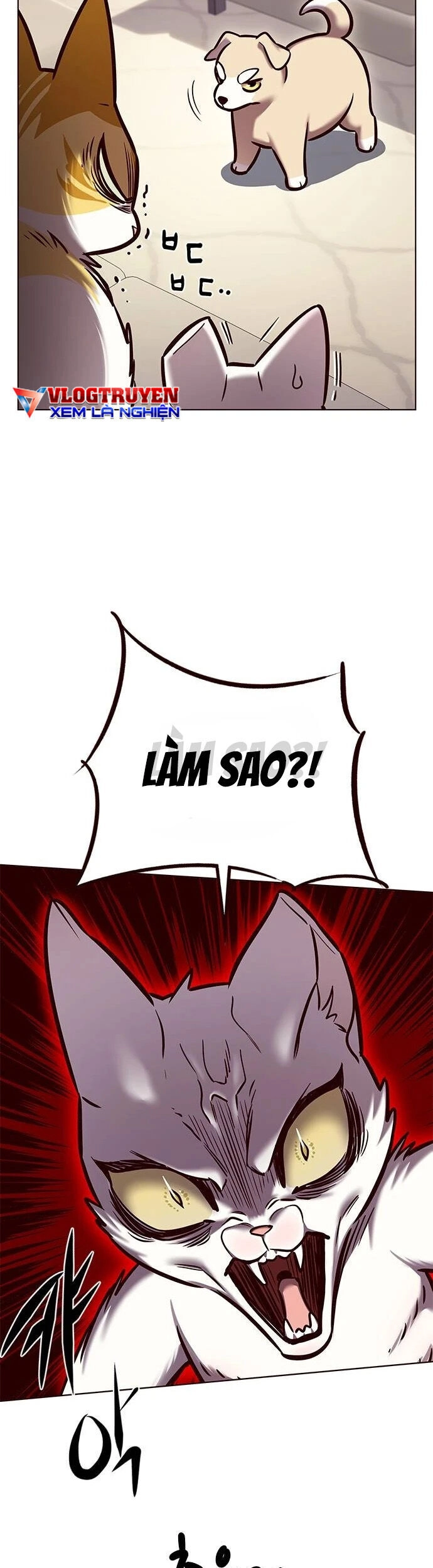 Hoá Thân Thành Mèo Chapter 279 - 50