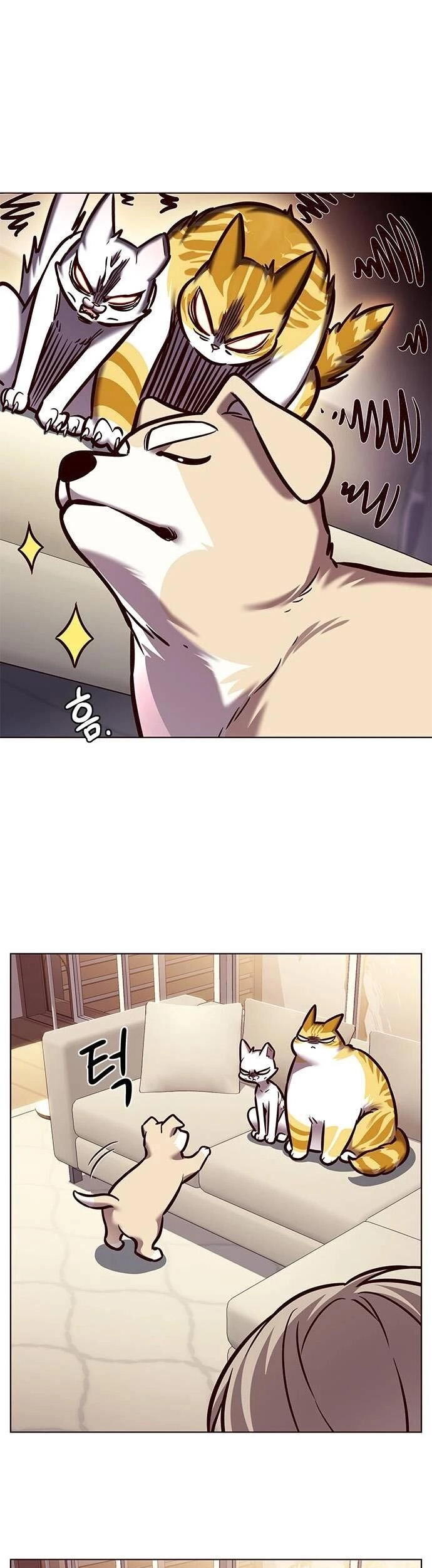 Hoá Thân Thành Mèo Chapter 279 - 52