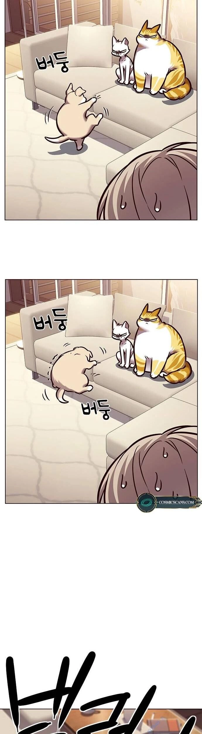 Hoá Thân Thành Mèo Chapter 279 - 53