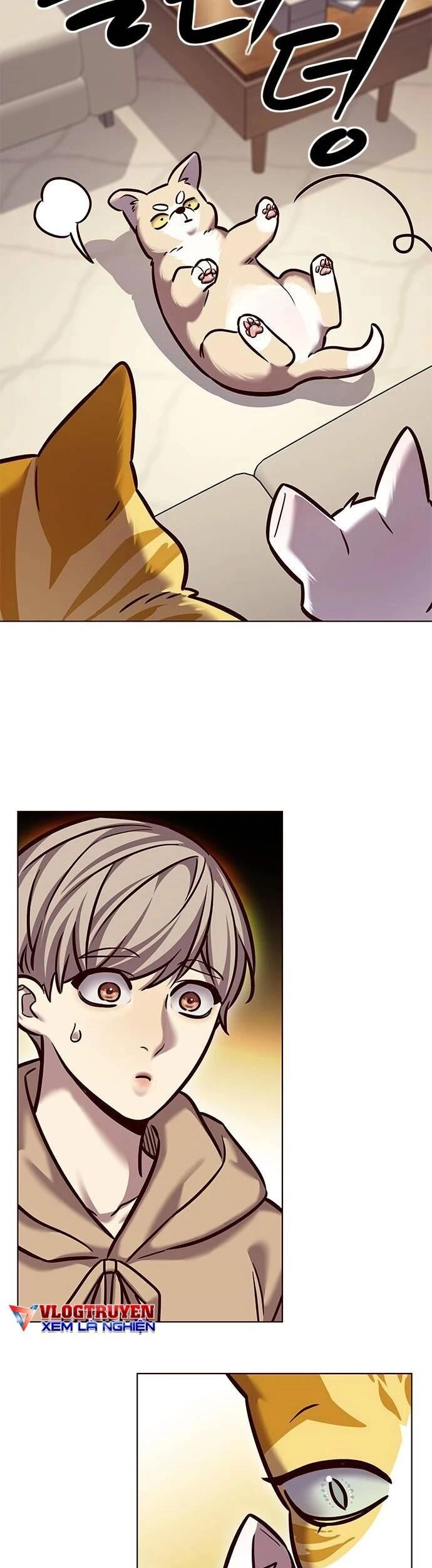 Hoá Thân Thành Mèo Chapter 279 - 54