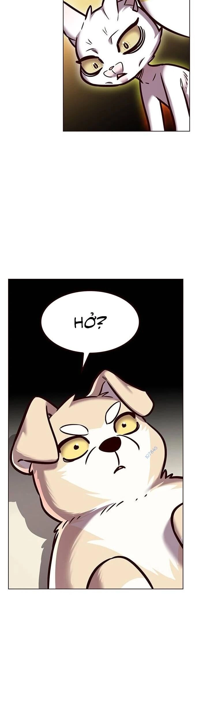 Hoá Thân Thành Mèo Chapter 279 - 55