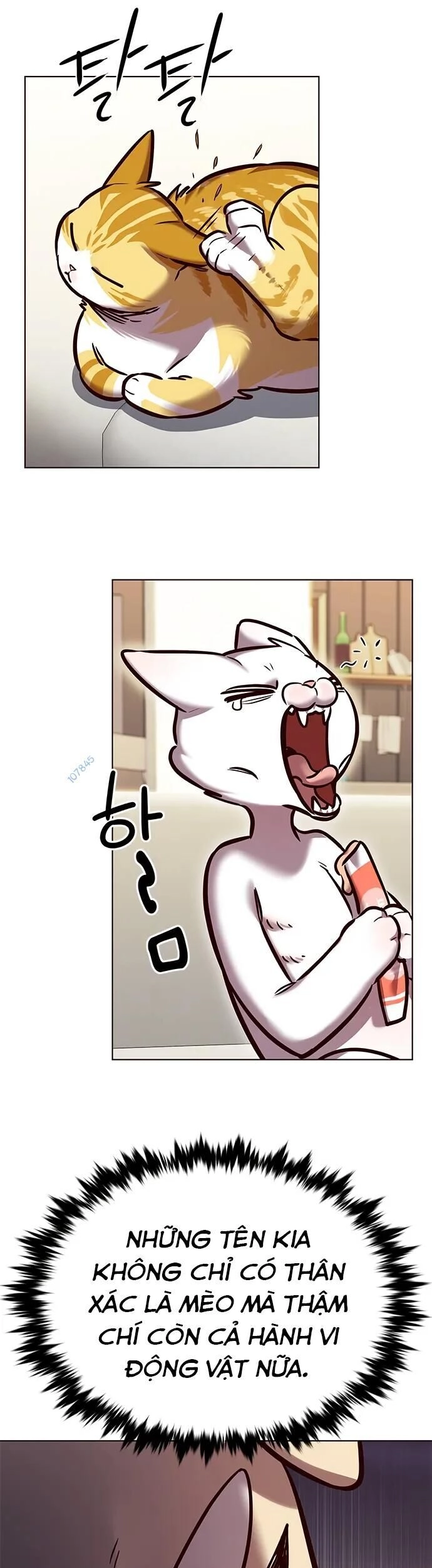 Hoá Thân Thành Mèo Chapter 280 - 6