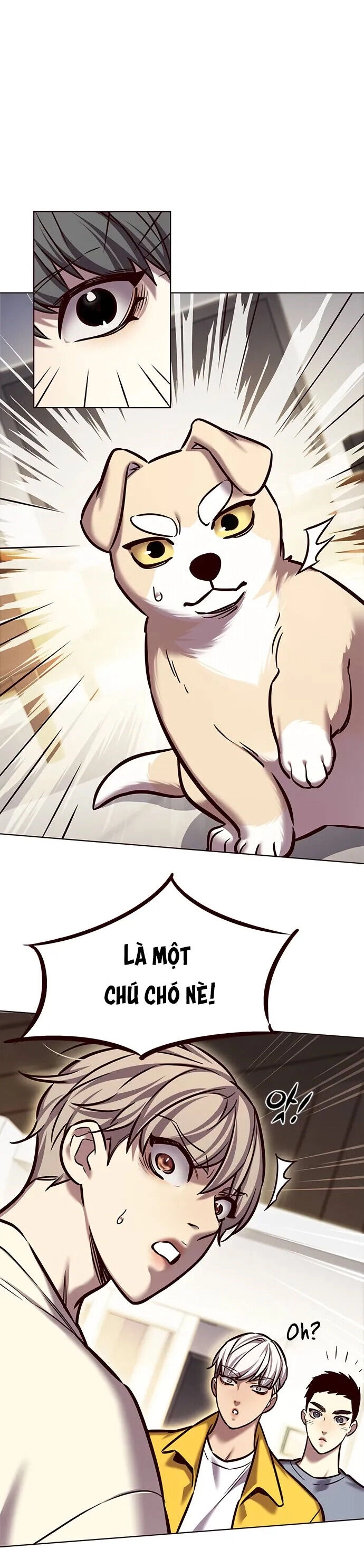 Hoá Thân Thành Mèo Chapter 280 - 12