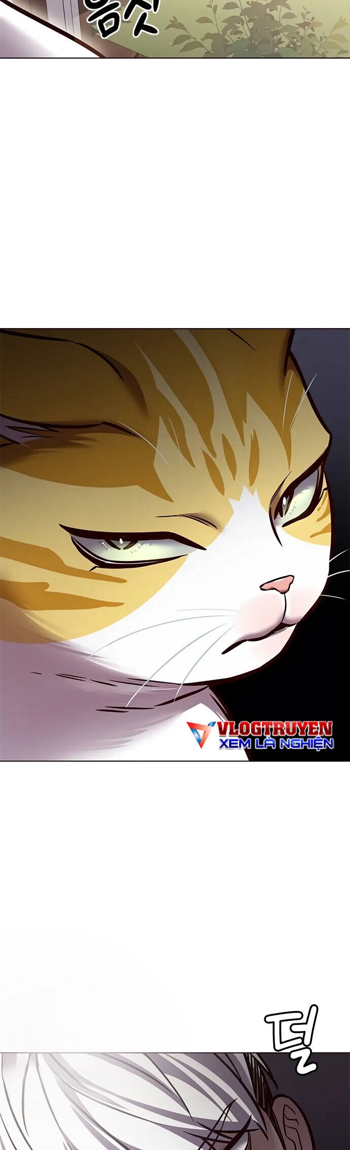 Hoá Thân Thành Mèo Chapter 280 - 26