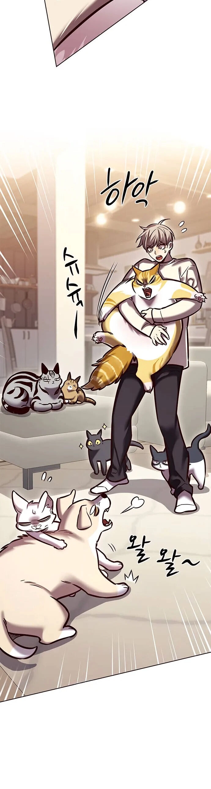 Hoá Thân Thành Mèo Chapter 280 - 57