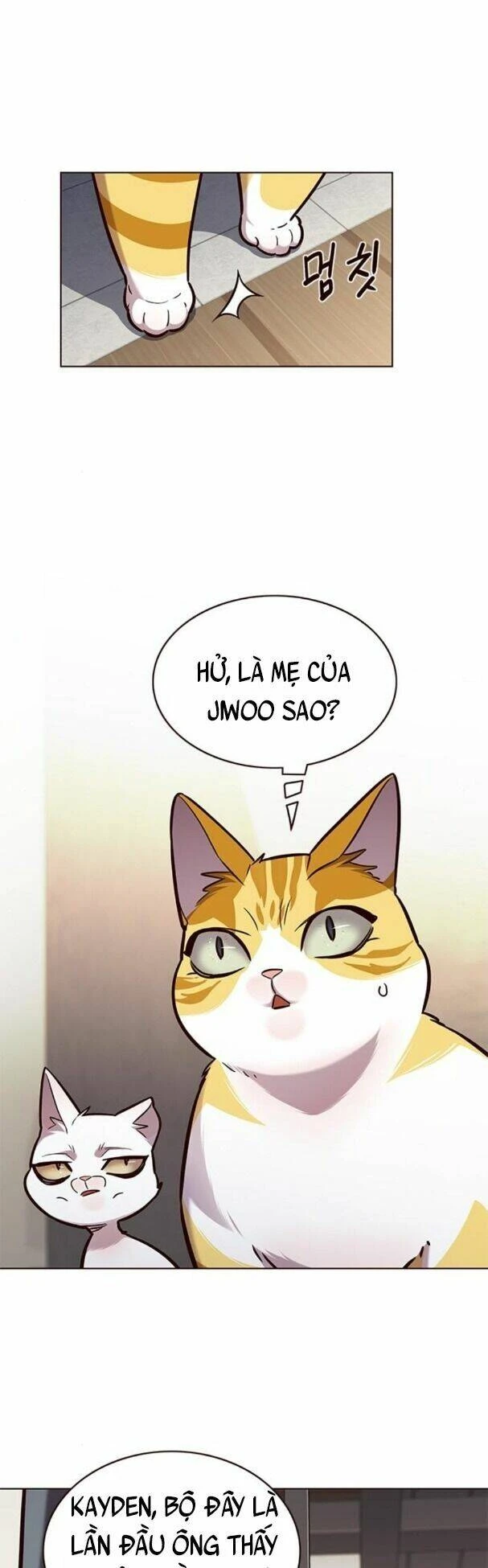 Hoá Thân Thành Mèo Chapter 177 - 2