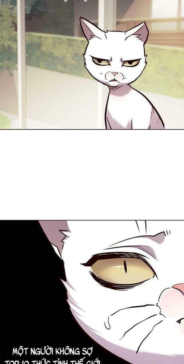 Hoá Thân Thành Mèo Chapter 177 - 48