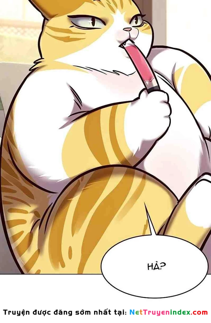 Hoá Thân Thành Mèo Chapter 295 - 14