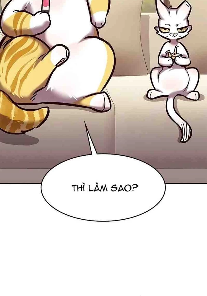 Hoá Thân Thành Mèo Chapter 295 - 17