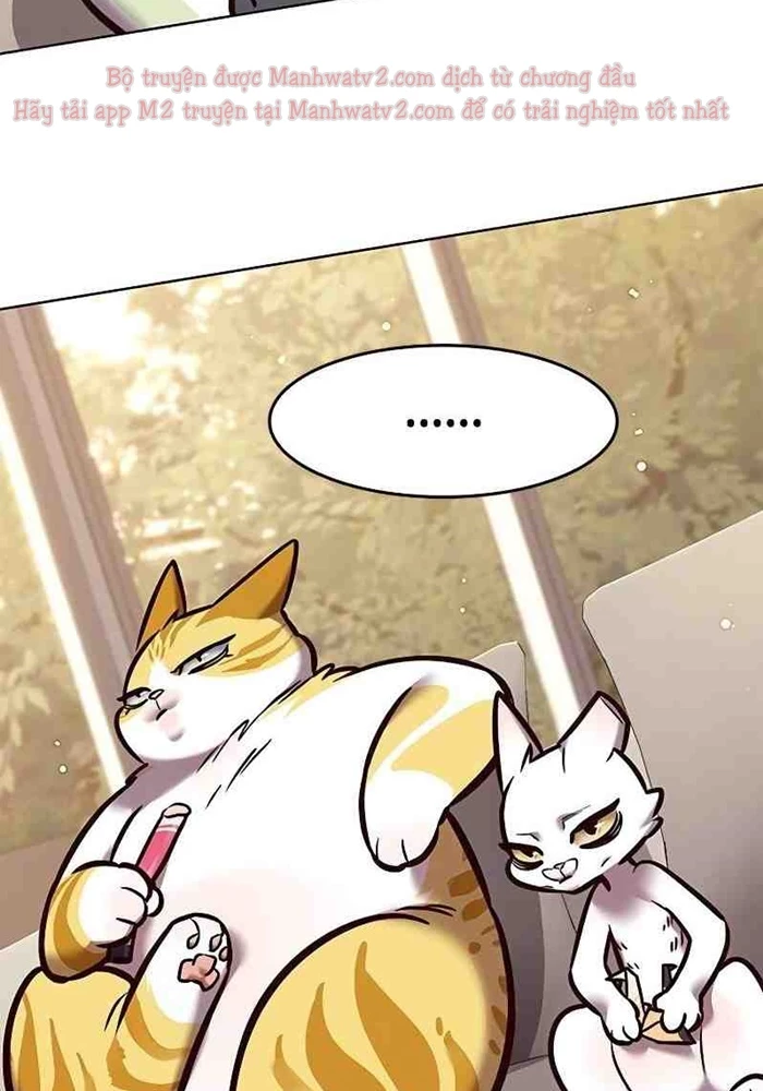 Hoá Thân Thành Mèo Chapter 295 - 20